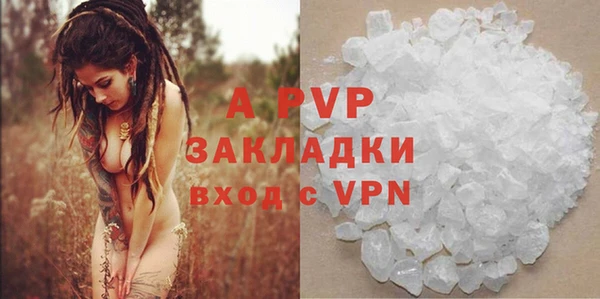 дмт Абаза